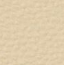 Color option