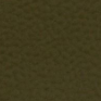 Color option